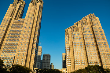 Fototapeta na wymiar (東京都ｰ都市風景)西新宿にそびえたつ超高層ビル６