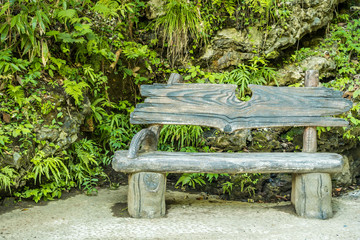 wooden bench in the park against a green plants covered cliff face