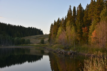 лето, осень, природа, пруд, купание, жара