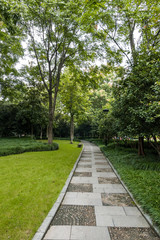 nice paved Cement walkway lead inside park with green trees