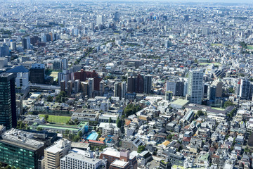 Fototapeta premium view of tokyo from shinjyuku highrise building 