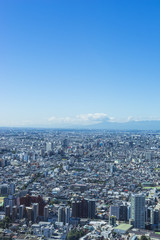 Fototapeta na wymiar view of tokyo from shinjyuku highrise building 