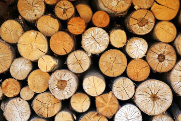 Chopped wood laid in a woodpile to dry for the winter. Wood texture.