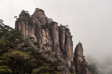 hand shaped rock formation on the mountain slop covered by forest under the mist