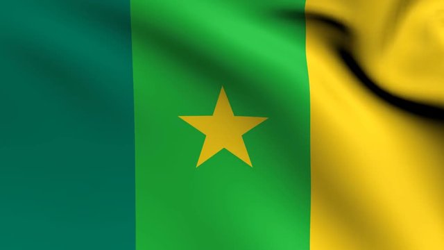 flag of cameroon  waving animation