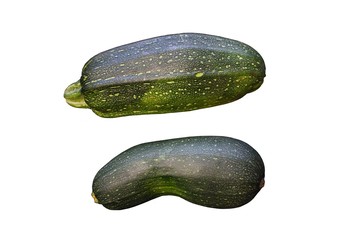 Fresh zucchini vegetables isolated on white background. 
