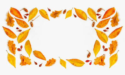 Autumn composition with golden maple and oak leaves on white background. Autumn sale background layout decorate with leaves. Flat lay. Top view. Copy space.