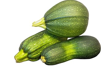 Fresh zucchini vegetables isolated on white background. 