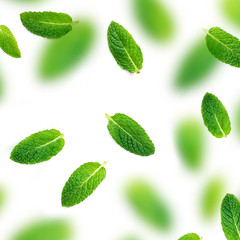 Peppermint leaf pattern.  Falling Fresh mint leaves isolated on white background, flat lay. Macro.