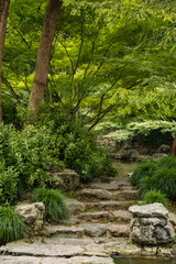 rock stairs and path beside forest in the park