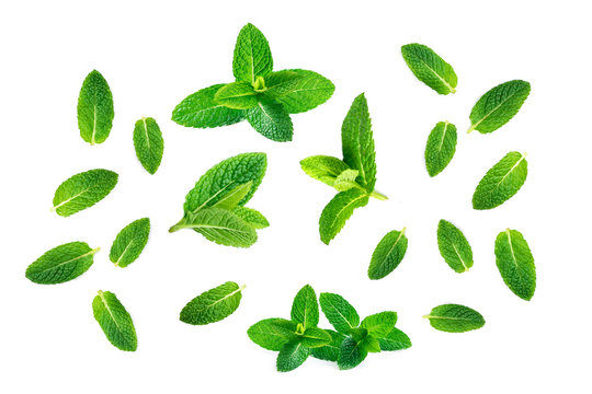 Fresh mint leaves pattern isolated on white background, top view. Close up of peppermint.