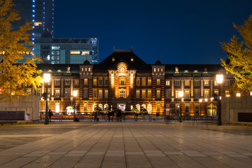 Fototapeta na wymiar 黄葉のイチョウと東京駅の夜景