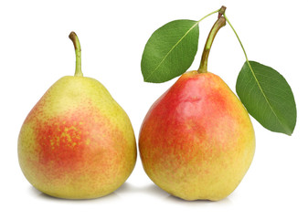 Pears isolated on white background