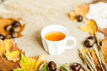 Autumn maple leaves, cup of tea and chestnuts lying on a brown background.