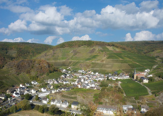 Fototapeta na wymiar Weinort Mayschoß im Ahrtal nahe Bad Neuenahr-Ahrweiler,Rheinland-Pfalz,Deutschland