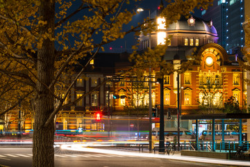 黄葉のイチョウと東京駅の夜景