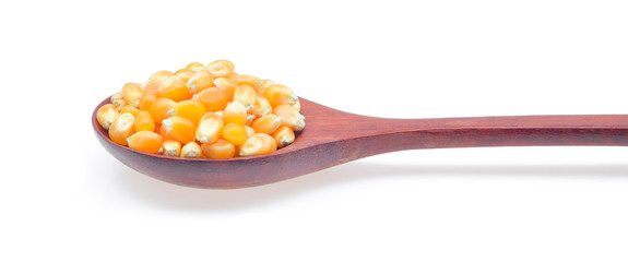 Raw corn seeds in wood spoon  on white background