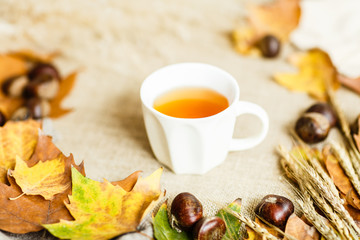 Autumn maple leaves, cup of tea and chestnuts lying on a brown background.