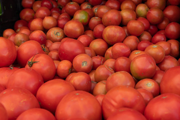 tomatoes at the market
