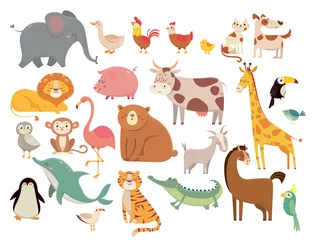 Rolgordijnen Zoo Tekenfilm dieren. Schattige olifant en leeuw, giraf en krokodil, koe en kip, hond en kat. Boerderij en savanne dieren vector set