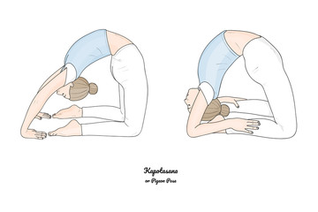 Kapotasana or Pigeon Pose. Vector.	