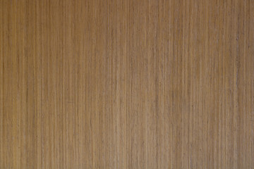 Naklejka premium Tree