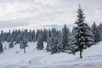 Fototapeta na wymiar Winter countryside landscape