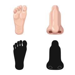 Vector design of human and part symbol. Set of human and woman stock vector illustration.