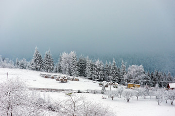 Obraz premium Winter countryside landscape