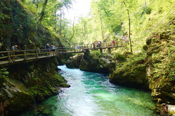 Vintgar gorge with wooden walkway and river Radovna flowing through it near to Bled lake, Slovenia