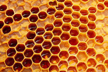 Yellow Honeycomb closeup background