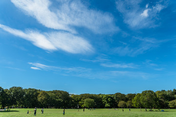 Fototapeta na wymiar 休日の公園の風景と青空１