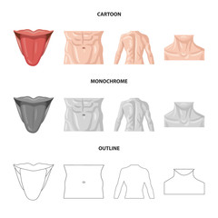 Vector illustration of human and part sign. Set of human and woman stock vector illustration.