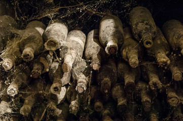 lot of old wine bottles in the spiderweb in the wine cellars close-up
