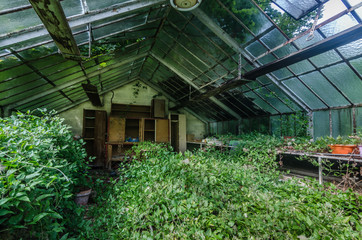 Fototapeta na wymiar verwachsenes glashaus innen