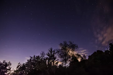 Fototapeten sternenhimmel und baeume mit wolken © thomaseder