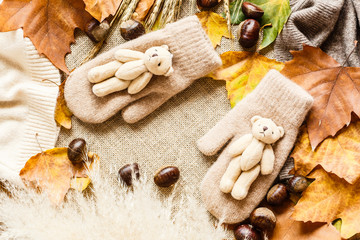 Autumn maple leaves, mittens with little teddy bear and chestnuts lying on a brown background. Top view. Flat lay.