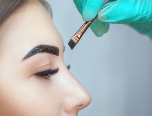 makeup artist applies paint henna on eyebrows in a beauty salon. Professional care for face.