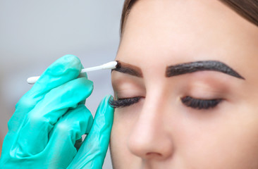 makeup artist applies paint henna on eyebrows in a beauty salon. Professional care for face.