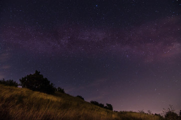 hohes gras und straeucher mit sternenhimmel