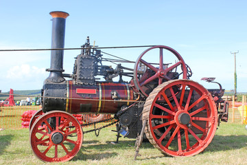 Steam Traction engine