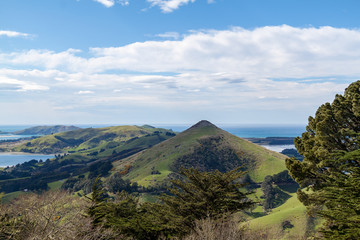 Trees, hills and the sea (2)