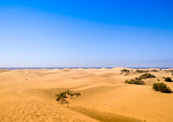 Fototapeta na wymiar general view of sand dunes in desert of Maspalomas with the sea at the end