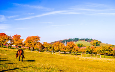 Beautiful autumn landscape next to Benzingerode in Germany
