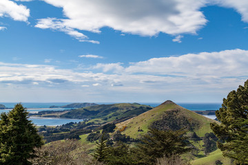 Trees, hills and the sea