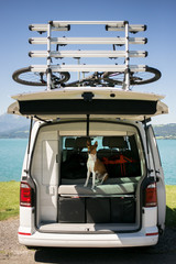 Back door of big white camping van or camper is open and cute little dog or puppy sits inside trunk together with bags and backpacks, bike rack is attached, ready for adventure and fun times roadtrip