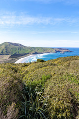 Surf beach with plant filled foreground