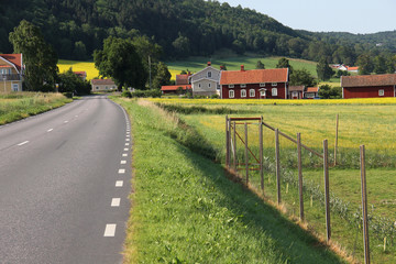 Obraz premium Marking road over forest at countryside