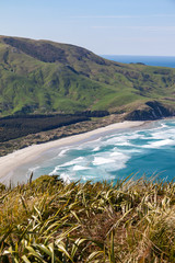 Surf beach and grassy headland