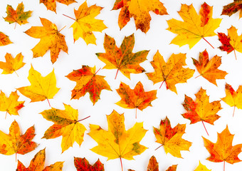 Naklejka na ściany i meble Colorful autumn leaves pattern on white background